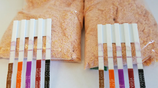 Flour ready for testing