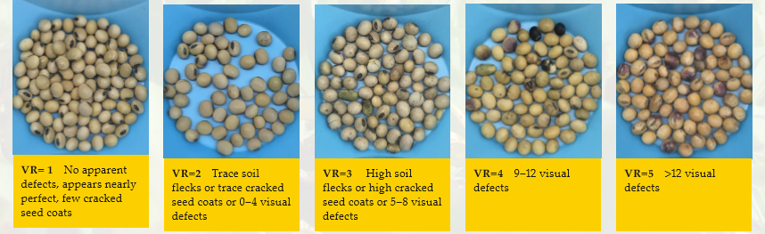 Chart depicting levels of visual defects