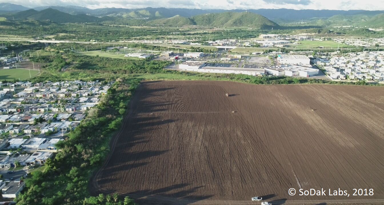 Winter Growouts site in Puerto Rico