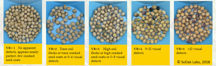 Chart depicting levels of visual defects